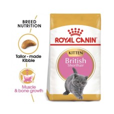 Royal Canin British Shorthair Kitten