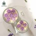 “Anxiety Relief” Lavender Scented Soy Candle by Organdle