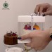 Birthday Cake Candle
