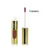 Lipfix  / Vegan Cosmetics 