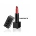LIPSTICK BLACK  / Vegan Cosmetics 