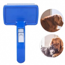 Dog Grooming & Health