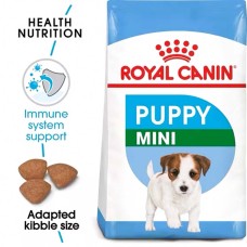 Dog Food & Treats