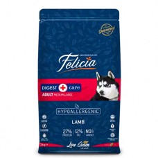 Dog Food & Treats