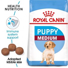 Dog Food & Treats