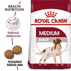 Dog Food & Treats
