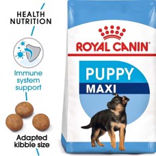 Dog Food & Treats
