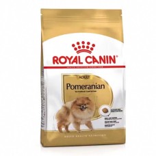 Dog Food & Treats