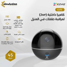 Indoor Camera