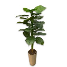 Artificial plant