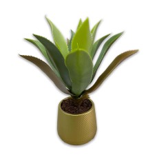 Olivera Silicone