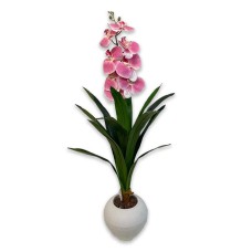 Orchid flower