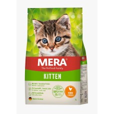 Cat Food
