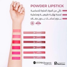 Powder lipstick