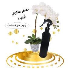 Furniture freshener