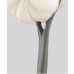 Back Brush
