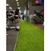 Lava Gym
