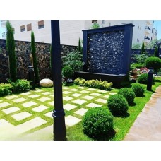Landscaping and decoration