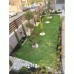 Landscaping and decoration