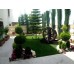 Landscaping and decoration