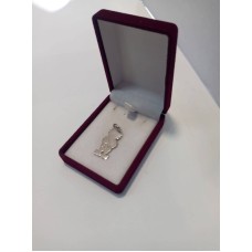Pendant Charm