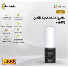 Wall Camera
