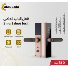 Smart Door Lock