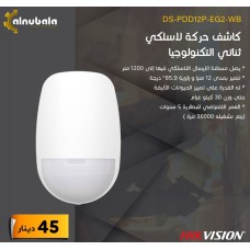 Wireless Motion Detector