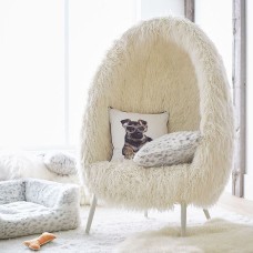 ﻿Chair