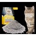 ﻿Cat sand