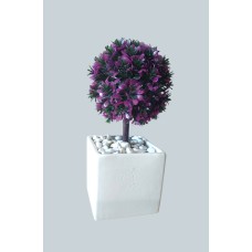﻿Love plant