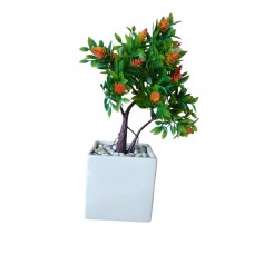 Autumn Plant