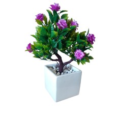 ﻿Dwarf rose plant