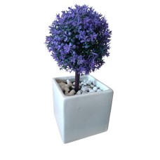 Love Plant
