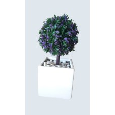 ﻿Love plant