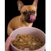 Dog food