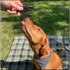  Dog Treats