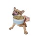 Dog food