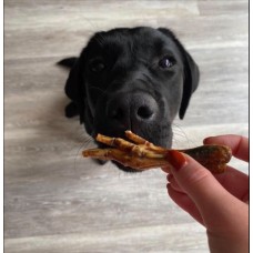 dog treats