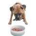 dog food