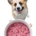 ﻿Dog food