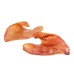 dog food