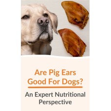 dog food