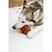dog food