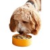 ﻿Dog food