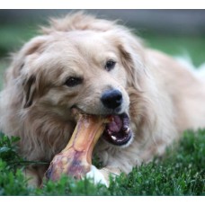 Dog Food