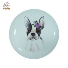 Glass plate 