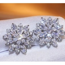 ﻿Zircon stone earrings