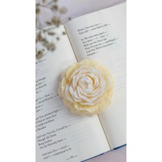  Rose Candle 