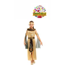 ﻿Kids Costume